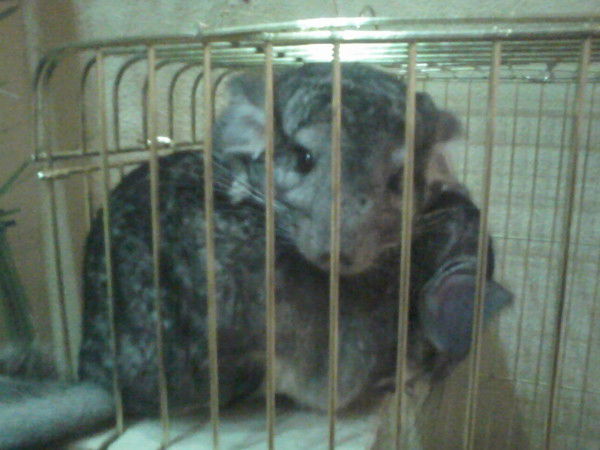 Алёна Калинина