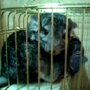 Алёна Калинина