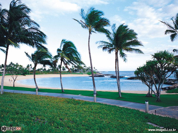 Алексей Макарчев