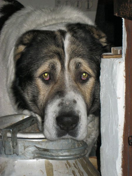 Наталья Бессонова