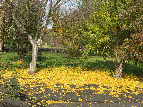 Сергей Макаров