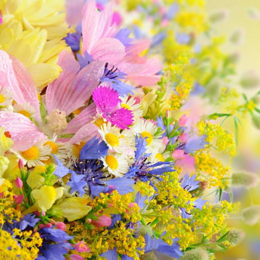 Ляззат Бакирова