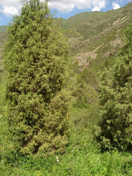 Бакыт Каныбекович