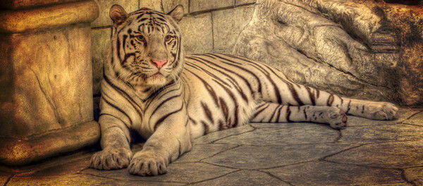 Сергей Поляков