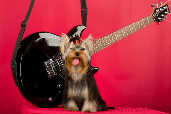 Татьяна Бильмач