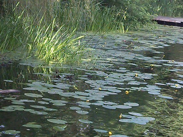 Фарида Ганиева