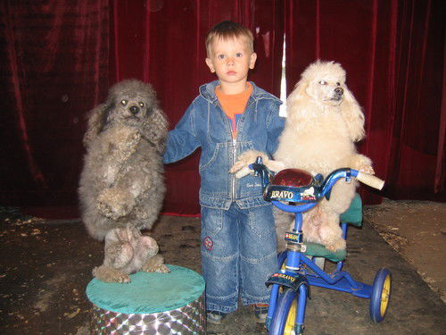 Андрей Белов