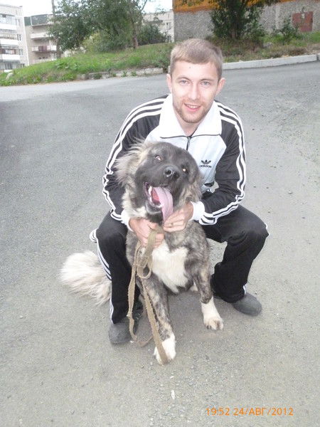 Данис Зарипов