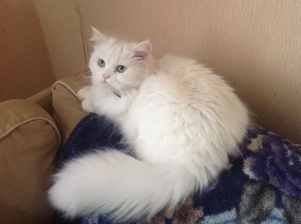 Екатерина Орешкина