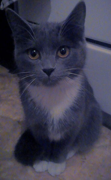 Наталья Каторкина