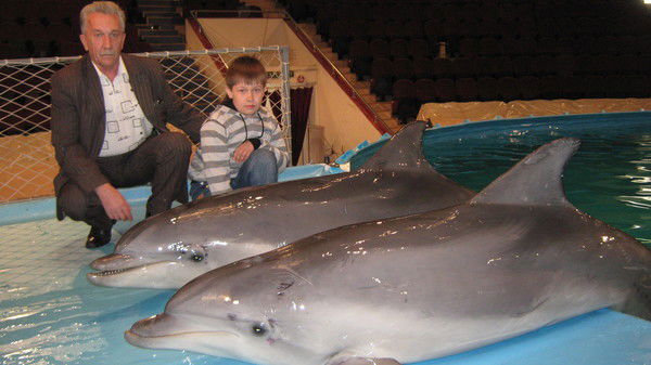 Сергей Анисимов