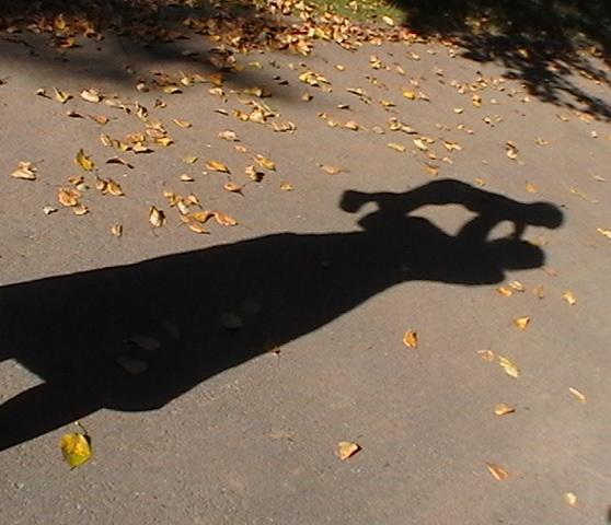 Александра Ханьжина