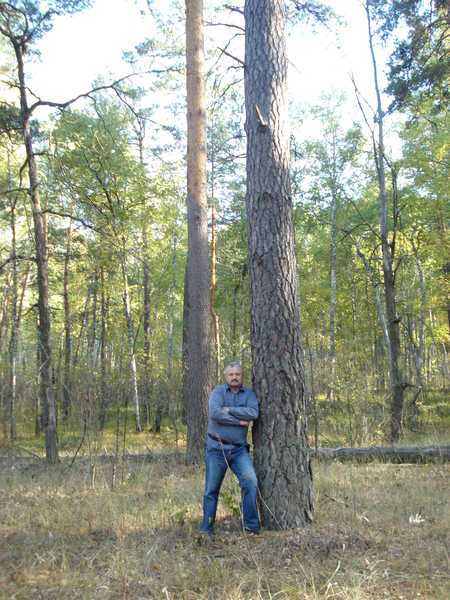 Сергей Никульшин