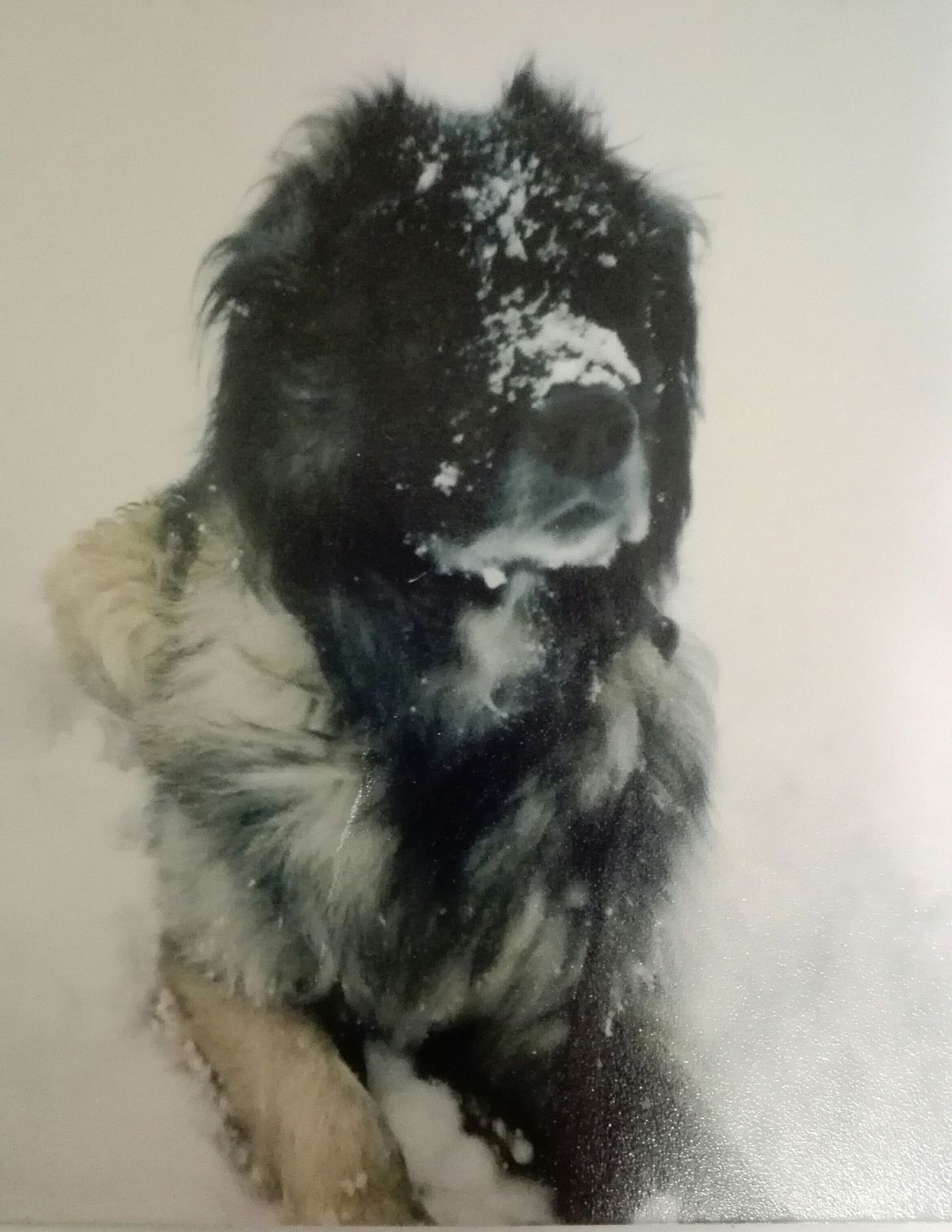 Ольга Андреева