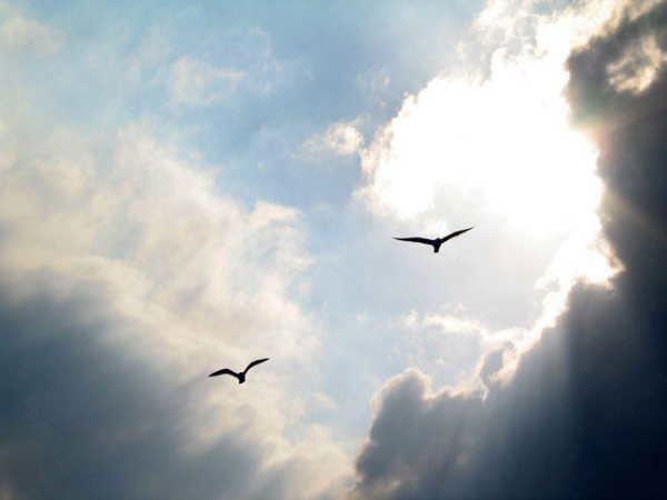 Дмитрий Дрозд