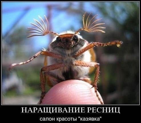 Славик Мамедик