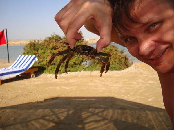 Андрей Тимофеев