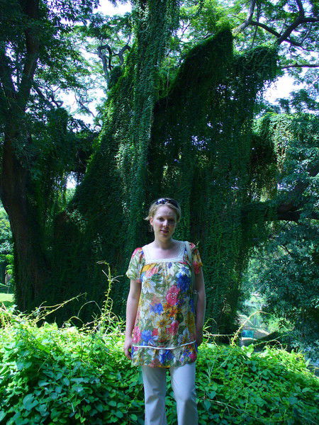 Татьяна Кибанова