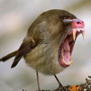 Кайрат Нариман