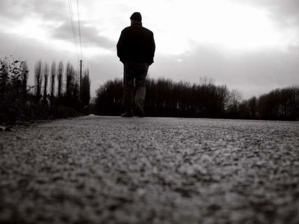 Александр Волков