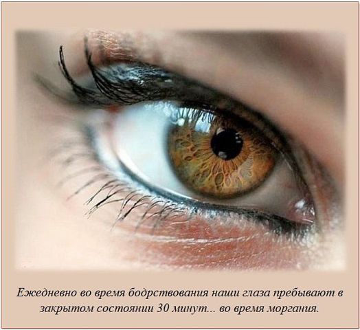 Нина Коротич