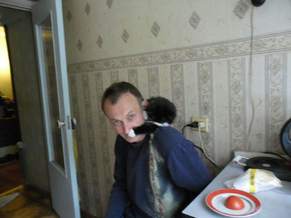 Джексон Orlov