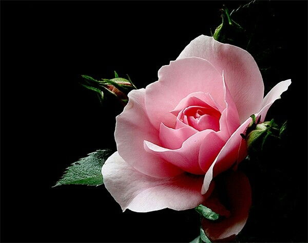 Ирина Мокринская