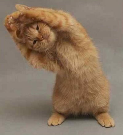 Евгений Андреев