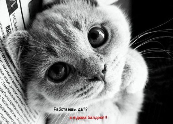 Анастасия Николаевна ;)