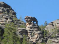 Виталий Ким