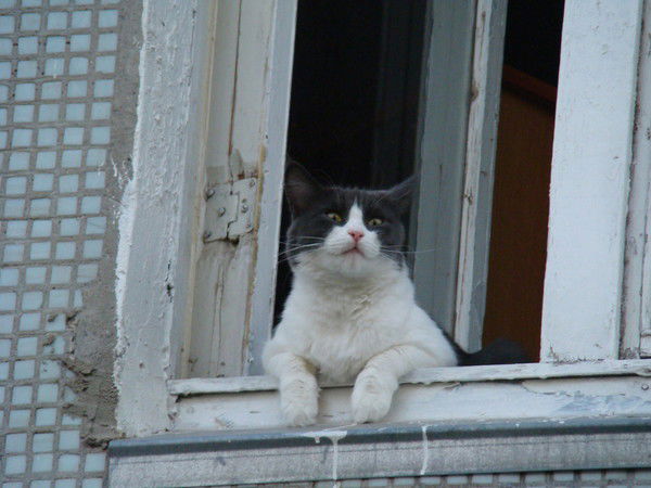 Алёна Гуреева