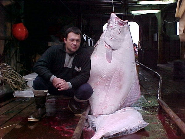 Юрий Стариков