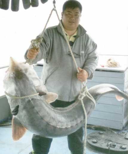 Арчибальд Мальдулевский