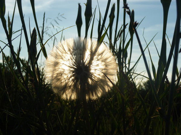 Инга Афонина