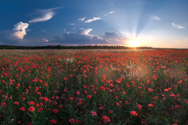 Виктория Герасименко