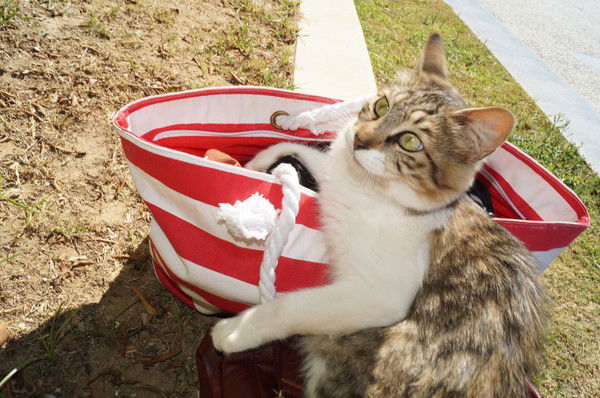 Оксана Петухова