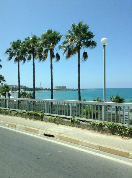 Татьяна Аниканова