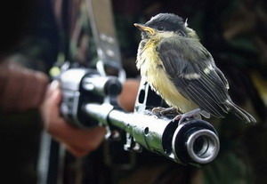 Владимир Бирук