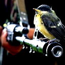 Владимир Бирук