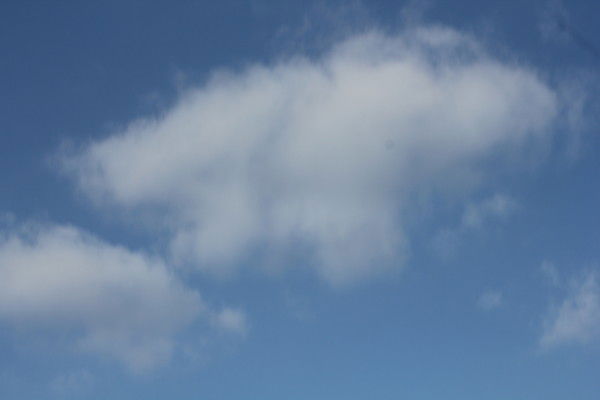 Оксана Оксана