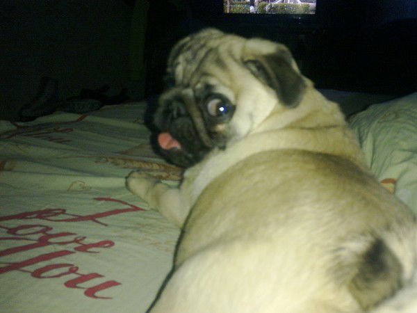 Юлия Иванова