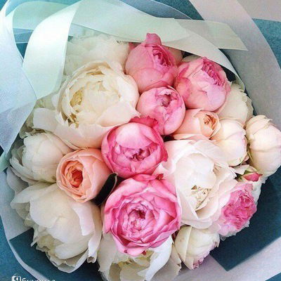 Жулдызай Елеусизова