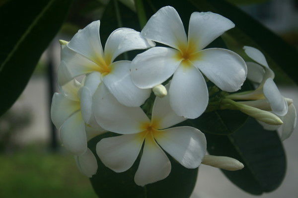 Анна Щербинина