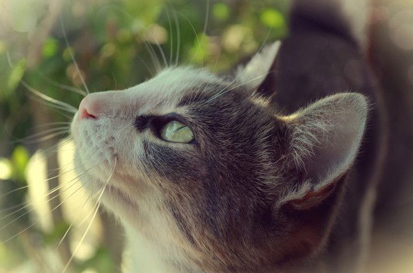 Аня Ляпушкина