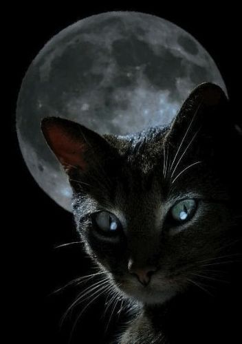 Лариса Евстигнеева