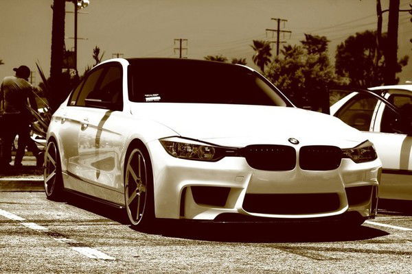 Антон Щербаков