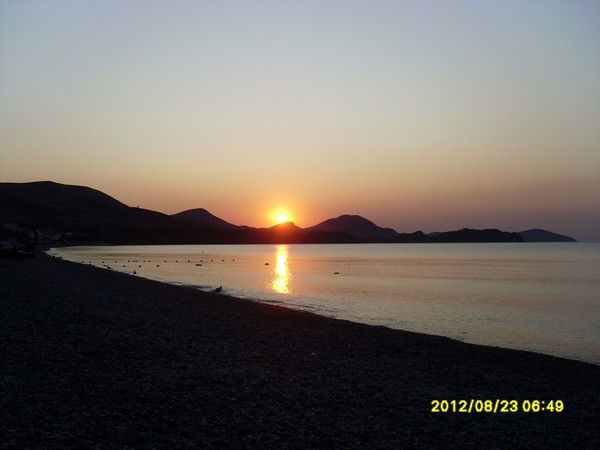 Елена Тригуб