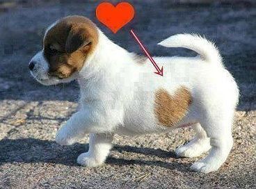 Марго Умнова