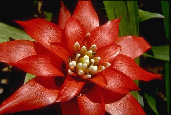 Гельсирень Пост