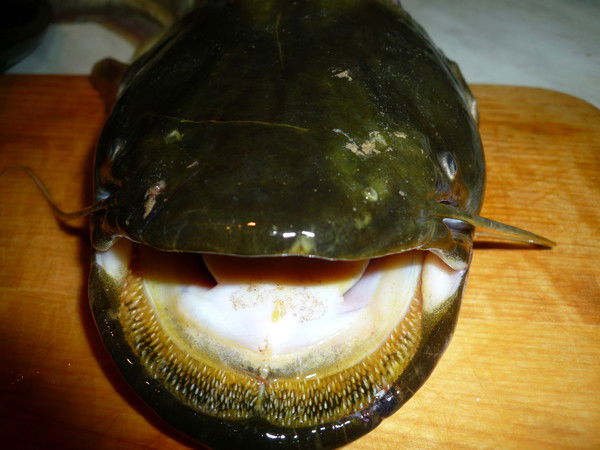 Виктор Овчинников